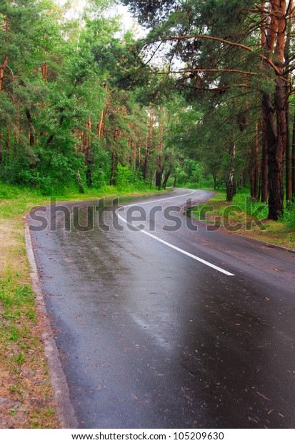 winding road in the\
woods