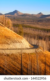 Winding road in Yellowstone national park