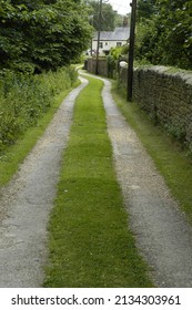 Winding Rural English Country Lane