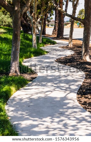 Winding sidewalk lined up with trees, example of urban landscaping