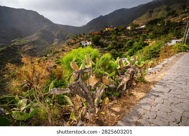A winding stone path leads through lush vegetation towards traditional houses on steep terraces in the Teno Mountains