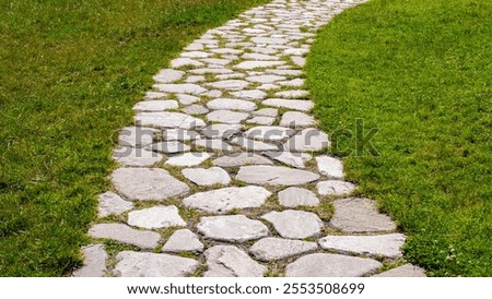 A winding stone path leads through lush green grass in a serene outdoor setting
