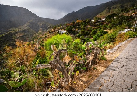 A winding stone path leads through lush vegetation towards traditional houses on steep terraces in the Teno Mountains