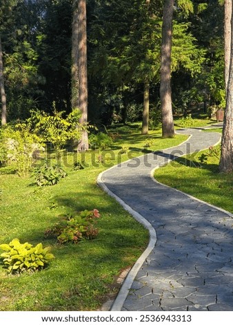 A winding stone path meanders through a lush, green park, lined with tall trees and vibrant foliage.