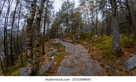 A winding stone path through a misty forest with autumn foliage. The scene features tall trees, scattered rocks, and a tranquil atmosphere, suggesting a peaceful nature walk. - Powered by Shutterstock