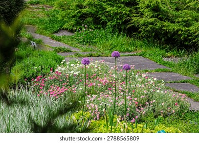 A winding stone pathway meanders through a lush botanical garden, showcasing a diverse array of flowering plants and verdant foliage