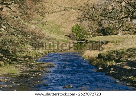 A winding stream flows through a grassy valley, framed by trees. A calm pool reflects the sky and foliage at Studley Royal Park, UK.