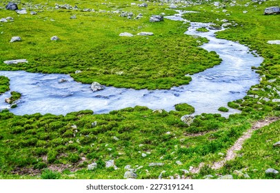 A winding stream in a green valley. River stream flowing. Cold creek landscape. River flow in green valley