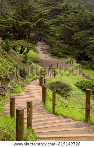 Winding Trail - Land's End Park - San Francisco