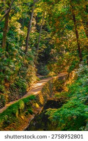 A winding walking path through a gorge and people