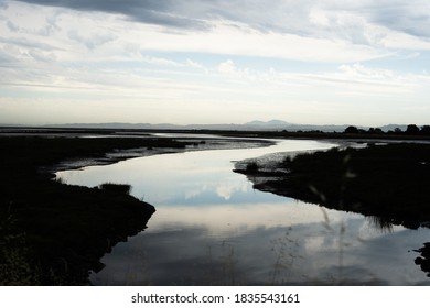 Winding Waterway In Marsh Lagoon