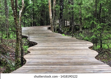 Winding Wooden Path In Forest