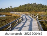 Winding wooden pathway through Soljastensuo swamp in Seitseminen National Park, Ylojarvi, Finland