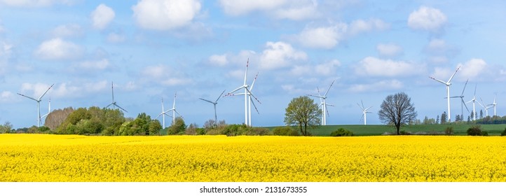 Windmill Farm. Electric Wind Turbines In Blooming Rapeseed Field, Panorama.