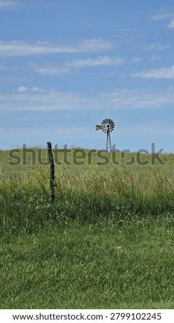 Windmill in field with grass
