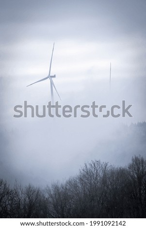 Similar – Foto Bild Baum im Nebel Umwelt Natur