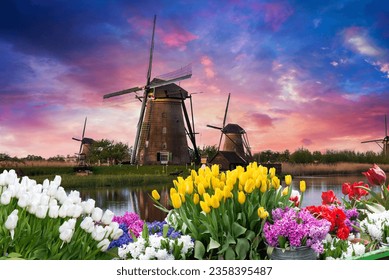 Windmill in Holland Michigan - An authentic wooden windmill from the Netherlands rises behind a field of tulips in Holland Michigan at Springtime. High quality photo - Powered by Shutterstock