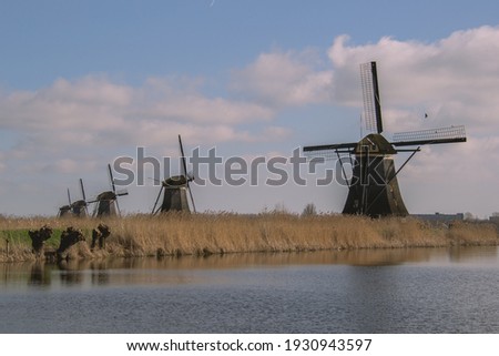A windmill in a meadow