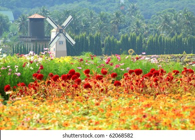 windmill netherlands style in beautiful flower garden : vineyard