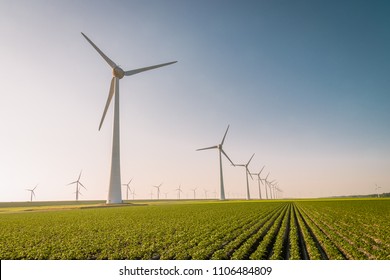 Windmill park, huge windmill generator turbines during sunset in the meadow, green technology landscape