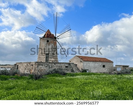 Windmill in the salt pans of Trapani