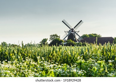 Windmill Seriemer Muehle In Rural Landscape, East Frisia, Lower Saxony, Germany