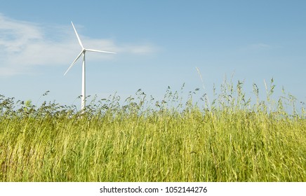 Windmill In A Tall Grassy Field