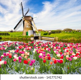 Windmill With Tulips In Holland