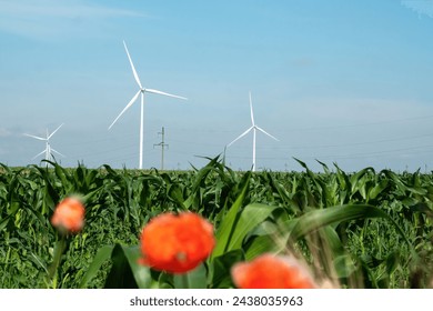 Windmills with blades generate energy on cornfield with red flowers reaching sun. Wind turbines supply alternative electricity source - Powered by Shutterstock