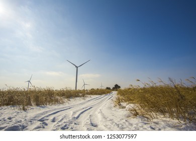 Windmills At Jeju Island During Winter