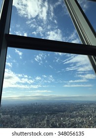 Window