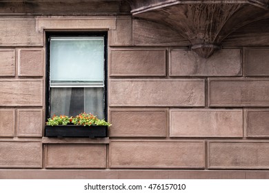 From the Window