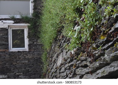 window