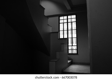 Window