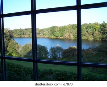 WINDOW