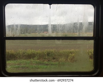 Window
