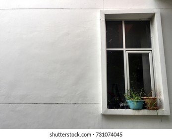 Window