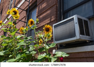 Window Air Conditioning Unit With Yellow Sunflowers In Astoria Queens New York During Summer
