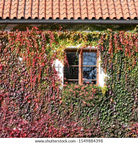 Similar – heavily overgrown building, of which only the roof is still visible