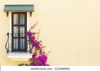 A Window With A Balcony On A Beige Wall And A Purple Flower. There Is Space For Text Here.