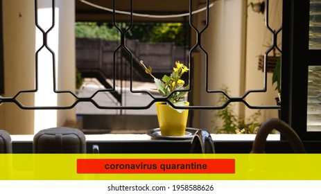 Window. Banner With Text Quarantine Coronavirus Showing A Flower Pot And A Window With Bars With Picture Of The Street Stuck Inside The House Because Of Health Problems, An Epidemic Of Viruses In Braz