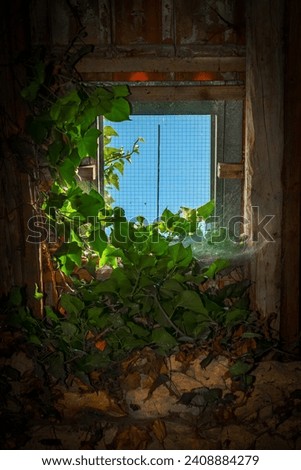 Similar – Rusty window with flower pots