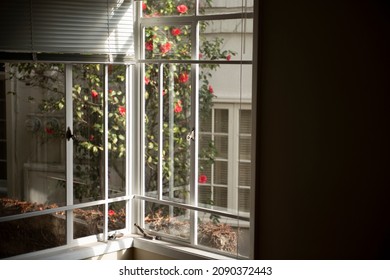 A Window In A Bedroom Looks Out Onto A Residential Courtyard. Moody Feel.