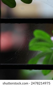 window blur background wallpaper, backdrop
