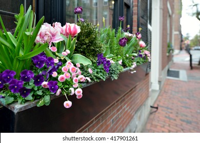 Window Box