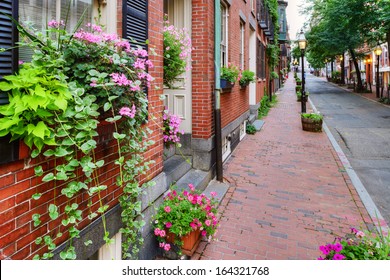 Window Box And Brick Buildings In Beacon Hill, Boston 