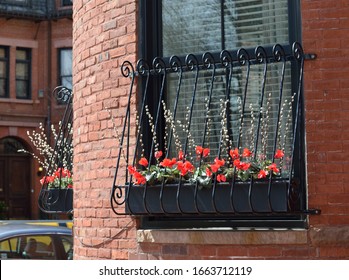 Window box decoration with bright red flowers of cyclamen and pusy willow branches.