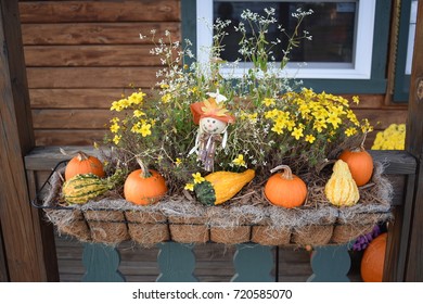 Window Box Fall Pumpkin And Squash Display