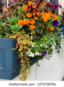 A Window Box Full Of Fall Flowers