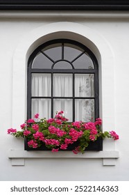 Window box with pink geraniums